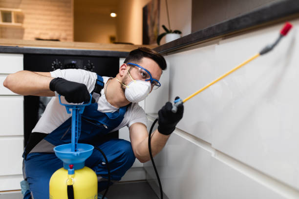 Best Residential Pest Control  in Brooklyn, IN