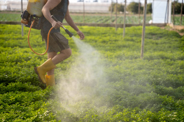 Best Best Pest Control Companies  in Brooklyn, IN