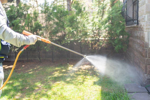 Insect Control in Brooklyn, IN