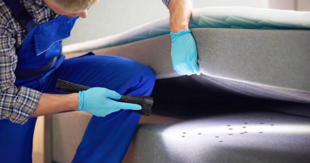 Best Flea Control Services  in Brooklyn, IN