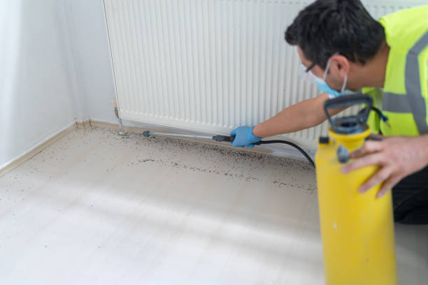 Best Local Pest Control Services  in Brooklyn, IN