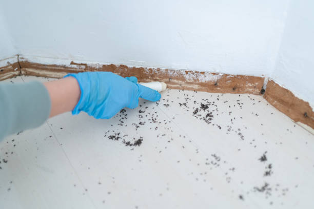 Best Exterminator Services  in Brooklyn, IN
