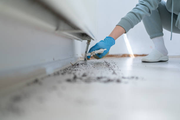 Best Pest Removal Services  in Brooklyn, IN